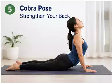 Cobra pose
www.healthmy.in
